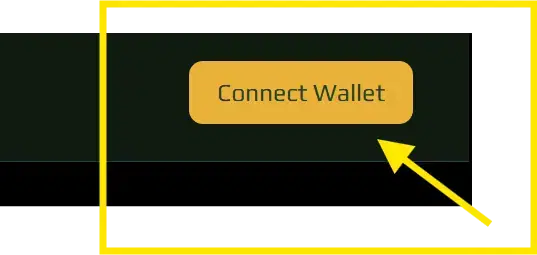 Connect Wallet